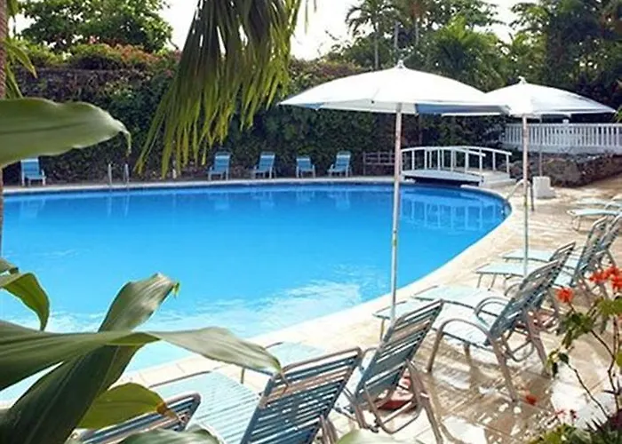 Hotel Shaw Park & 3*