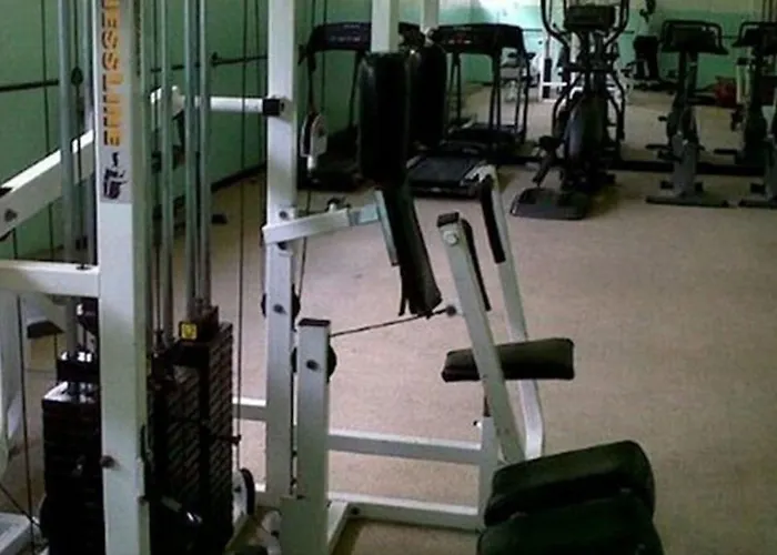 Hotel Shaw Park & 3*