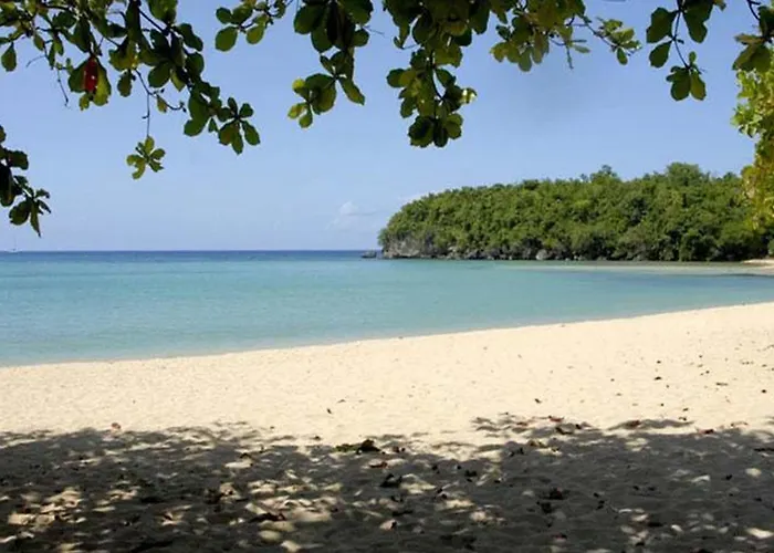 Shaw Park & 3* Ocho Rios